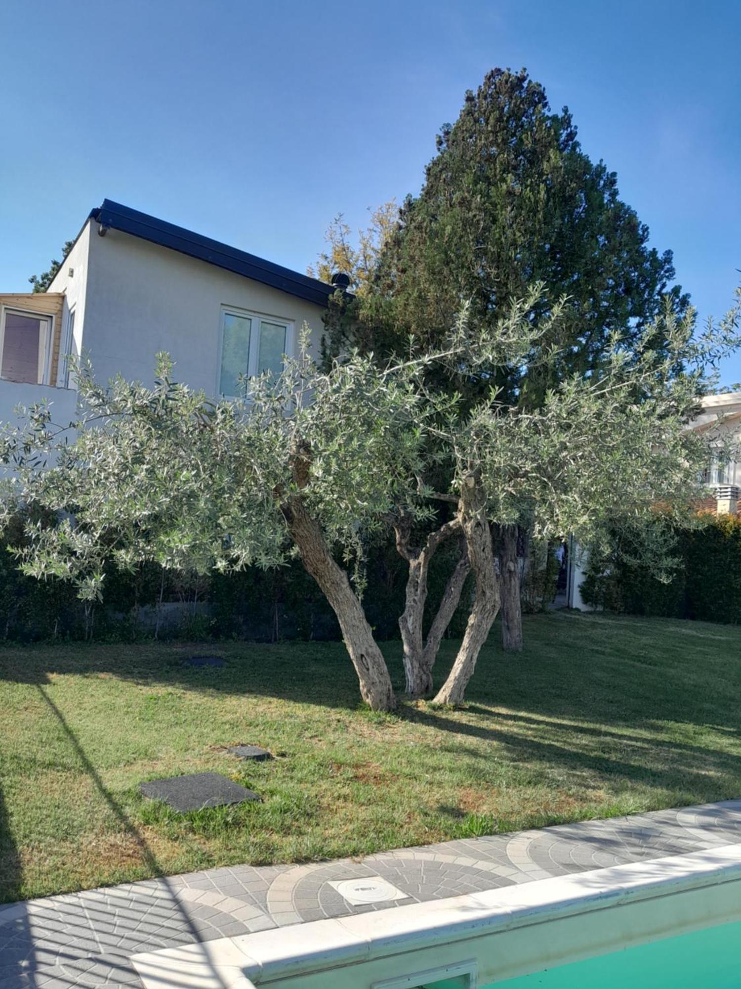 Agri Art Croce Vallone Biancavilla Exterior foto